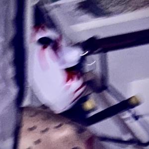 horrorsounds (Explicit)