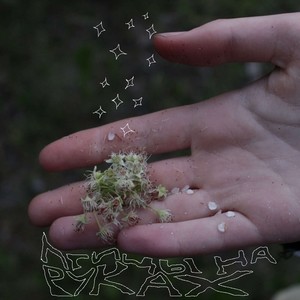 вы попадаете в мой фильм