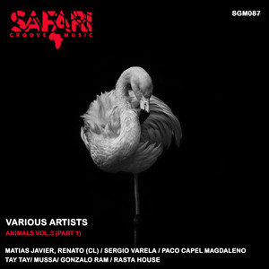 No Tengas Miedo (Original Mix)