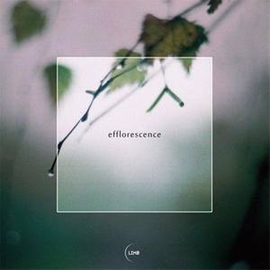 Efflorescence