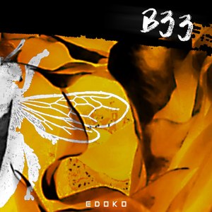 B33