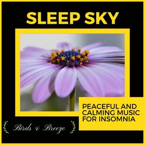 Sleep Sky - Peaceful And Calming Music For Insomnia