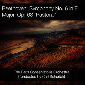 Symphony No. 6 in F Major, Op. 68 - I. Allegro ma non troppo