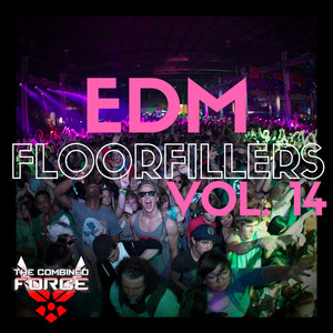 EDM FloorFillers Vol.14