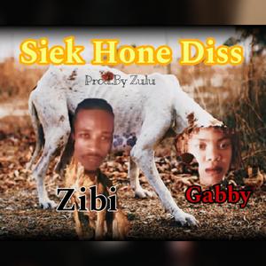 Siek Hone Gabby en Zibi Diss (feat. Nora De Gintsa) (Explicit)