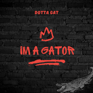 Im a Gator (Explicit)