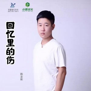 韩泽枫 - 回忆里的伤 (伴奏)