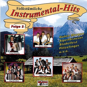 Volkstümliche Instrumental-Hits - Folge 2