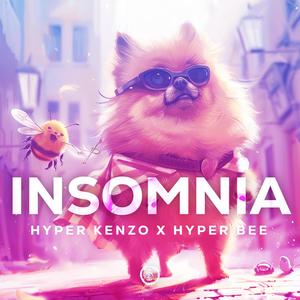 Insomnia (Techno Version)