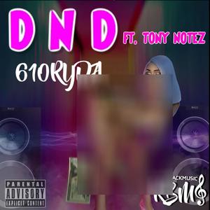 DND (feat. 610RYDA) [Explicit]