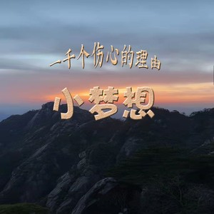 一千个伤心的理由