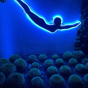 Azul