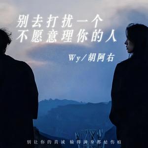 别去打扰一个不愿理你的人