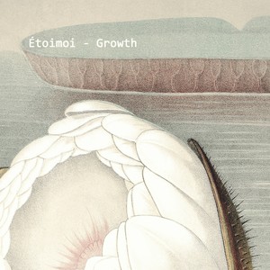 Growth