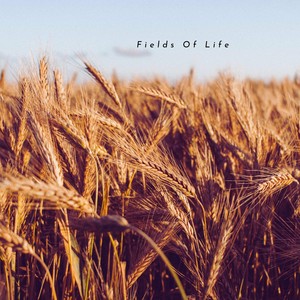 Fields Of Life