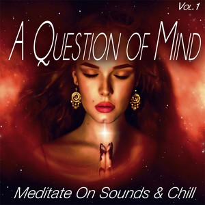 A Question of Mind, Vol.1 - Meditate on Sounds & Chill