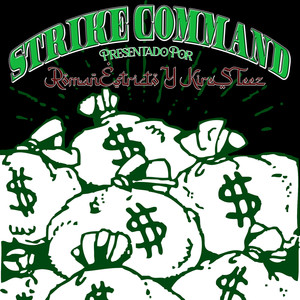 STRIKE COMMAND (Remix)