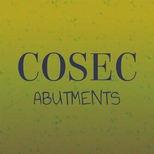 Cosec Abutments