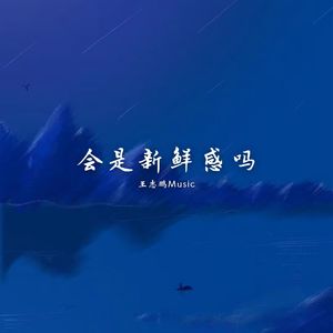 会是新鲜感吗 (BGM版)