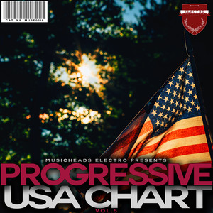 Progressive USA Chart, Vol. 5