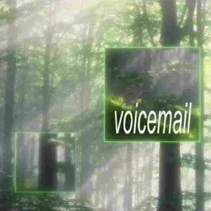 voicemail