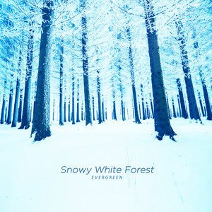 눈 내린 하얀 숲 (Snowy White Forest)