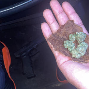 BANDGANG WHO? (feat. Breezyy) (Explicit)