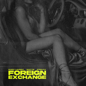 Foreign Exchange (Explicit)