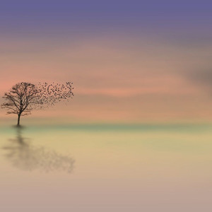 Nha Hat Hoa Binh (Explicit)