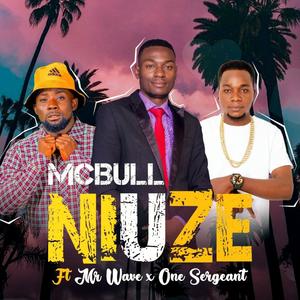 Niuze (feat. One sergeant & Mr wave)