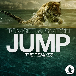 Jump (The Remixes) [Explicit]