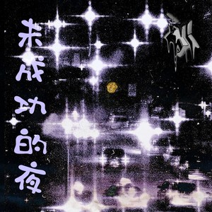 未成功的夜