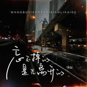 9Hz - 忘不掉的是先离开的