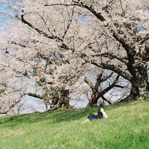 SpringThing-DreamSky