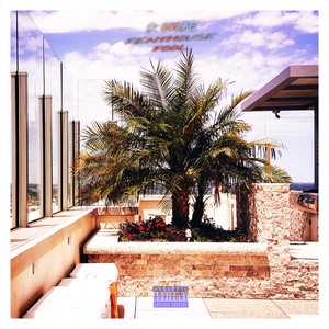 Penthouse Pool (Explicit)