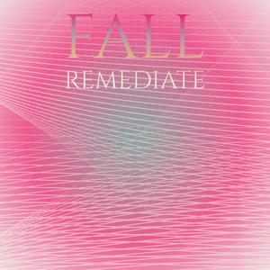 Fall Remediate