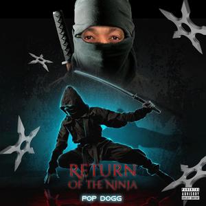 Return Of The Ninja (Explicit)