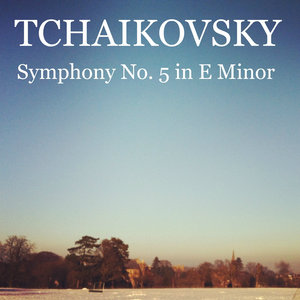 Symphony No.5 in E Minor, Op. 64: Finale (Andante Maestoso - Allegro Vivace)