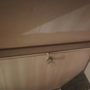 Coming Up! (Explicit)