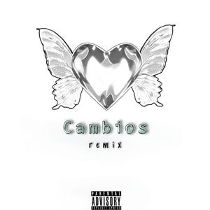 Cambios (CProducer's Remix) [Explicit]