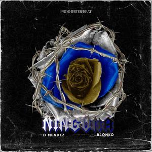 Ninguna (feat. Blonko) [Explicit]