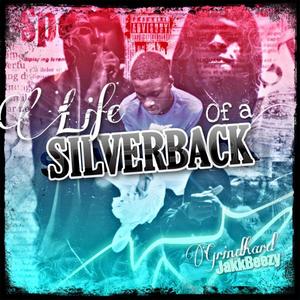 Life Of A Silverback (Explicit)