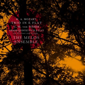 Grand Quintetto in B Flat, Op. 34 - IV Rondo - Allegro giojoso