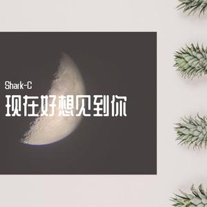 现在好想见到你