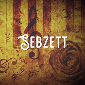 Sebzett