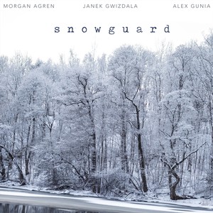 Snowguard