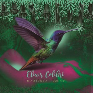 Elixir Colibrí