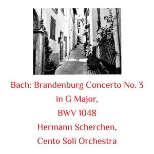 Brandenburg Concerto No. 3 in G Major, BWV 1048 - I. - II. Adagio