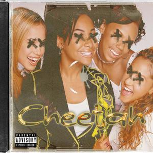 Cheetah (feat. Mi$take & Huncho n' Boog) [Explicit]