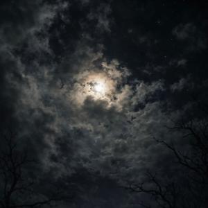 MAKE ME FEEL SO ALIVE